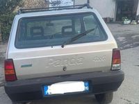 Usata Fiat Panda 4x4 Trekking 54 CV (39 kW) 1999 Argento Utilitaria