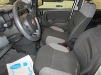 usata Fiat Panda Cross 1.0 FireFly S&S Hybrid City usato