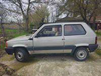 usata Fiat Panda 1100 i.e. cat College