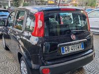 Usata Fiat Panda Easy 69 CV (50 kW) 2020 Nero Utilitaria