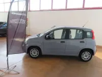 Usata Fiat Panda S 69 CV (50 kW) 2021 Grigio Utilitaria