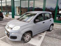 Usata Fiat Panda 70 CV (51 kW) 2021 Grigio Berlina