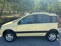 Usata Fiat Panda 4x4 69 CV (50 kW) 2006 Giallo Utilitaria