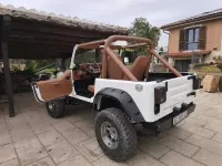 Usata Jeep Wrangler 105 CV (77 kW) 1991 SUV