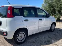Usata Fiat Panda Lounge 69 CV (50 kW) 2017 Bianco Utilitaria