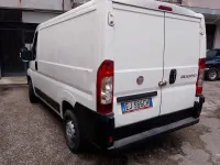 Usata Fiat Ducato 100 CV (73 kW) 2011 Bianco Furgone