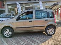 Usata Fiat Panda Dynamic 60 CV (44 kW) 2008 Bronzo Utilitaria