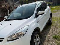 Usata Ford Kuga Business Edition 120 CV (88 kW) 2015 Bianco SUV