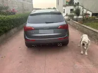 Usata Audi Q5 170 CV (125 kW) 2013 Grigio SUV