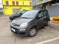 Usata Fiat Panda S 69 CV (50 kW) 2021 Grigio Utilitaria