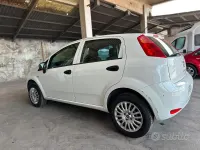 Usata Fiat Punto Lounge 70 CV (51 kW) 2016 Bianco Utilitaria