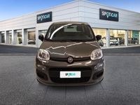 usata Fiat Panda 1.0 FireFly S&S Hybrid