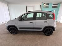 Usata Fiat Panda 4x4 Wild 86 CV (63 kW) 2021 Grigio Utilitaria