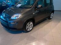 usata Fiat Panda 1.0 FireFly S&S Hybrid