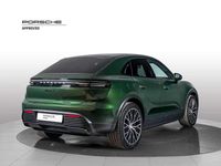 Usata Porsche Macan 300 kW (408 CV) 2025 Oak green SUV