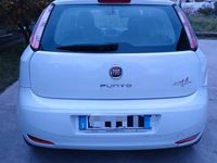 Usata Fiat Punto Street 2013 Bianco Utilitaria