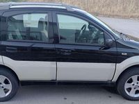 Usata Fiat Panda 4x4 Cross 69 CV (50 kW) 2008 Utilitaria