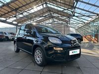 usata Fiat Panda 1.0 FireFly 70cv S&S Hybrid