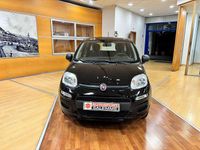 Usata Fiat Panda 69 CV (50 kW) 2020 Nero Utilitaria