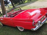 Usata Ford Thunderbird 199 CV (146 kW) 1955 Rosso Cabrio