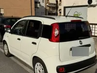 Usata Fiat Panda 85 CV (62 kW) 2013 Bianco Utilitaria