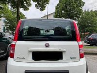 usata Fiat Panda Panda 1.2 Climbing Natural Power