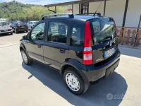 Usata Fiat Panda 4x4 Climbing 60 CV (44 kW) 2006 Nero Utilitaria
