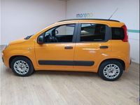 usata Fiat Panda 1.2 EasyPower Easy usato