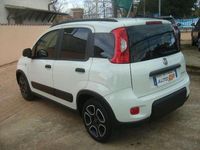 Usata Fiat Panda 69 CV (50 kW) 2021 Bianco Utilitaria