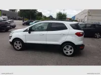 Usata Ford Ecosport 99 CV (72 kW) 2019 Bianco SUV