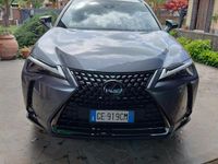 Usata Lexus UX 250h 184 CV (135 kW) 2021 Grigio SUV