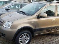 Usata Fiat Panda 4x4 60 CV (44 kW) 2010 Grigio Utilitaria