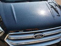 Usata Ford Kuga Business Edition 150 CV (110 kW) 2017 Nero SUV