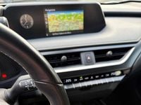 Usata Lexus UX 250h Business Edition 152 CV (111 kW) 2022 Bianco perla met. SUV