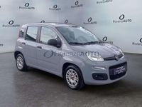 Usata Fiat Panda Easy 95 CV (69 kW) 2018 Grigio Utilitaria