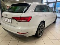 usata Audi A4 Avant 2.0 TDI 150 CV Business Sport