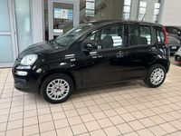 Usata Fiat Panda Easy 69 CV (50 kW) 2020 Nero Utilitaria