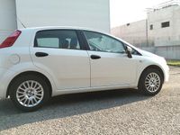 usata Fiat Punto 1.3 MJT II 75 CV 5 porte Street