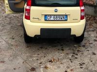 Usata Fiat Panda 60 CV (44 kW) 2004 Giallo Utilitaria