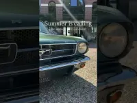 Usata Alfa Romeo Spider Quadrifoglio Verde 125 CV (91 kW) 1987 Argento Cabrio