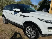 Usata Land Rover Range Rover evoque 150 CV (110 kW) 2012 Bianco SUV