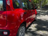 Usata Fiat Panda Young 95 CV (69 kW) 2017 Utilitaria