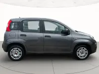 Usata Fiat Panda Lounge 69 CV (50 kW) 2019 Utilitaria