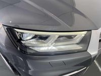 usata Audi Q5 2ª serie 40 TDI quattro S tronic Business Sport