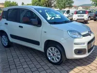 Usata Fiat Panda 4x4 Pop 84 CV (61 kW) 2019 Bianco Utilitaria