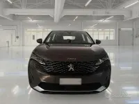 Usata Peugeot 3008 Business-Line 130 CV (95 kW) 2020 Grigio SUV