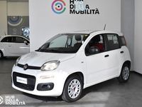 Usata Fiat Panda Easy 69 CV (50 kW) 2020 Bianco Utilitaria