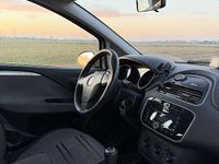 Usata Fiat Punto Evo Dynamic 77 CV (56 kW) 2010 Utilitaria