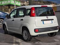 Usata Fiat Panda Cross Cross 69 CV (50 kW) 2021 Bianco Utilitaria