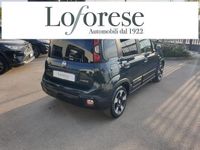 Usata Fiat Panda S 69 CV (50 kW) 2025 Verde foresta Utilitaria